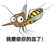 娱乐吃瓜酱蚊子,揭秘蚊子背后的娱乐圈秘密