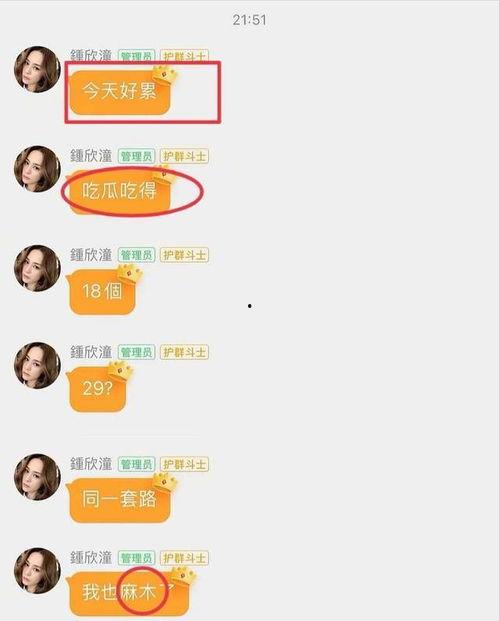 娱乐吃瓜明星定位系统,揭秘明星们的娱乐八卦生活