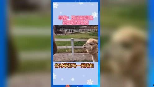 娱乐吃瓜群众素材图片,明星幕后故事大揭秘