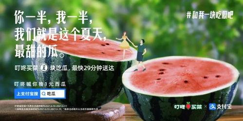 娱乐吃瓜简介文案图片,揭秘明星幕后故事，带你领略娱乐圈风云变幻