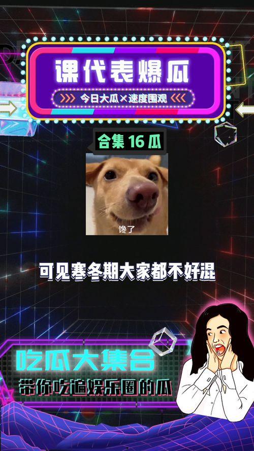 娱乐八卦吃瓜八卦是什么,从吃瓜八卦到幕后真相