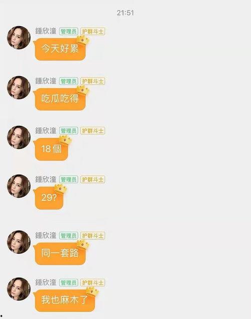 娱乐吃瓜酱相互体谅,相互体谅，共度美好时光