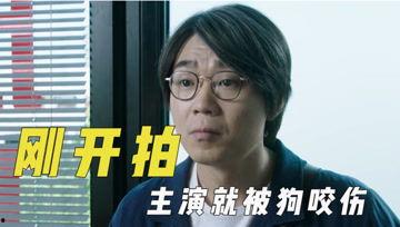 娱乐吃瓜君视频,揭秘娱乐圈最新热点事件，带你一探究竟！