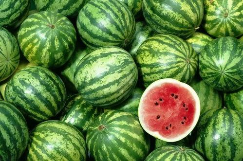 娱乐吃瓜酱800米,揭秘明星800米跑步背后的故事