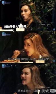 娱乐吃瓜解说大全视频,吃瓜解说大全视频精彩回顾