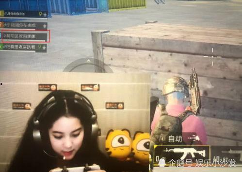 娱乐吃瓜酱娜娜摆摊,娱乐吃瓜酱的市井生活